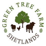 Green Tree Farm Shetlands
